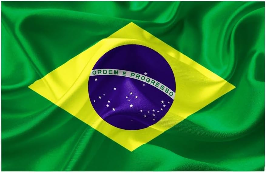 Arte Brasileira