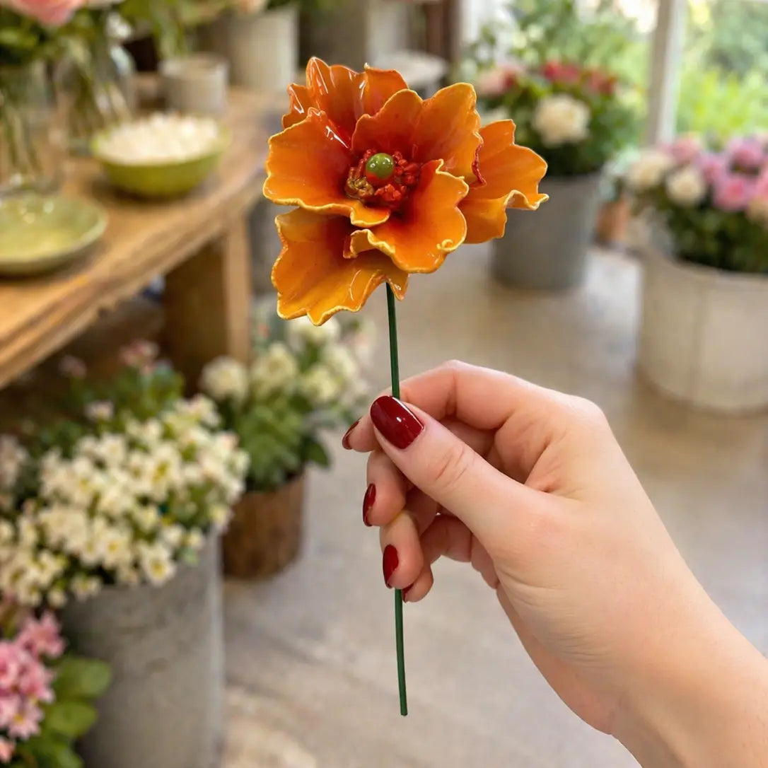 FLOR CER ITALIANA PAPOULA OR CAPODINEMENTE  LUCE 6-7DM