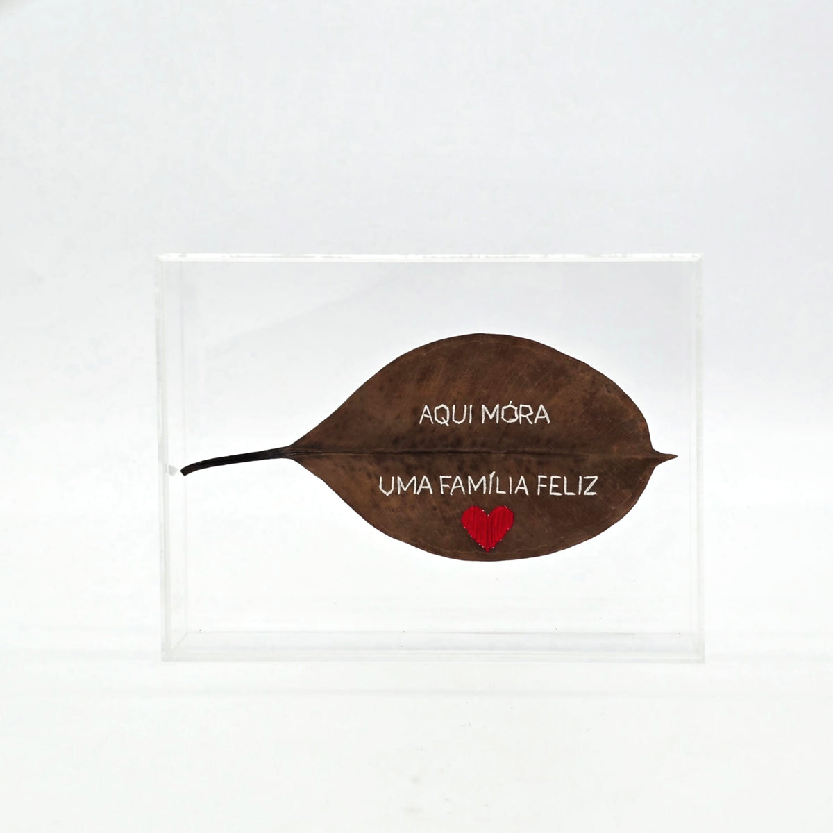 F.S. AQUI MORA UMA FAMILIA FELIZ - 20 X 30 ACRILICA