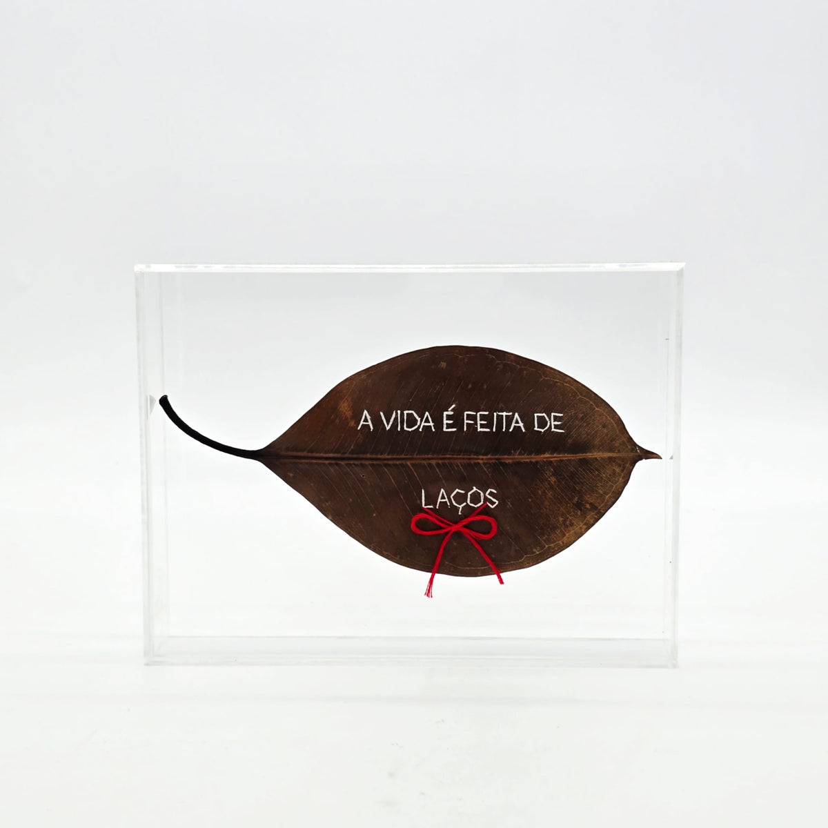 F.S. A VIDA É FEITA DE LAÇOS - 15 X 20 ACRILICA