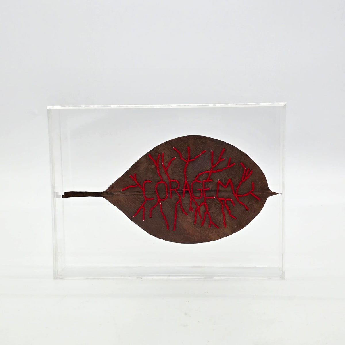 F.S. - CORAGEM 20 X 30 ACRILICA