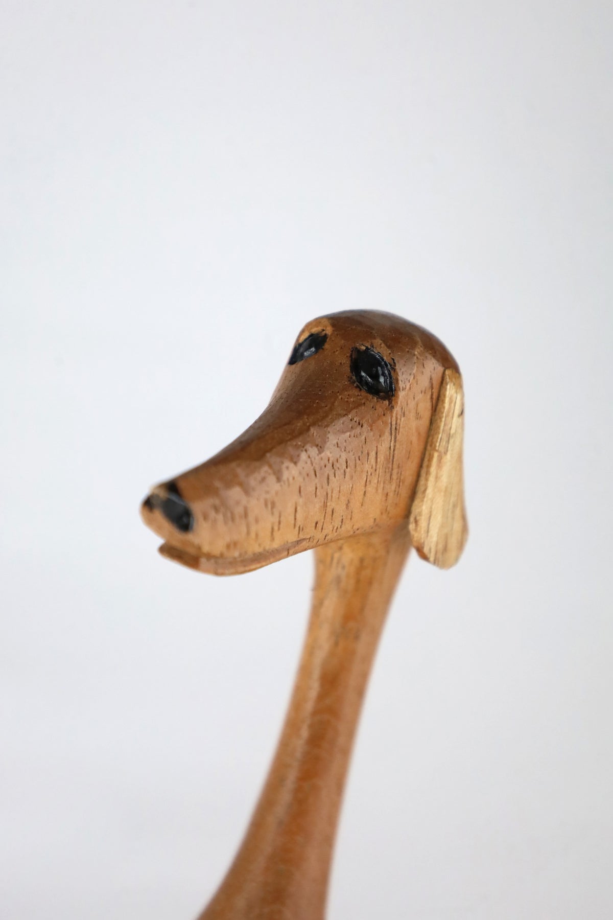 CACHORRO BALEIA SENTADO DE CABEÇA ERGUIDA