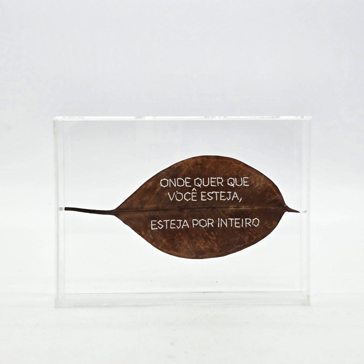 F.S. ONDE QUER QUE ESTEJA, ESTEJA INTEIRO - 15 X 20 ACRILICO