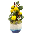 ESCULTURA CERAMICA ITALIANA DE PLANTA DE LIMÃO 28 CM
