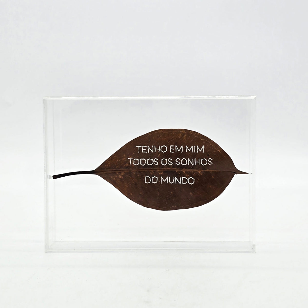F.S. TENHO EM MIM TODOS OS SONHOS DO MUNDO - 15 X 20 ACRILICO