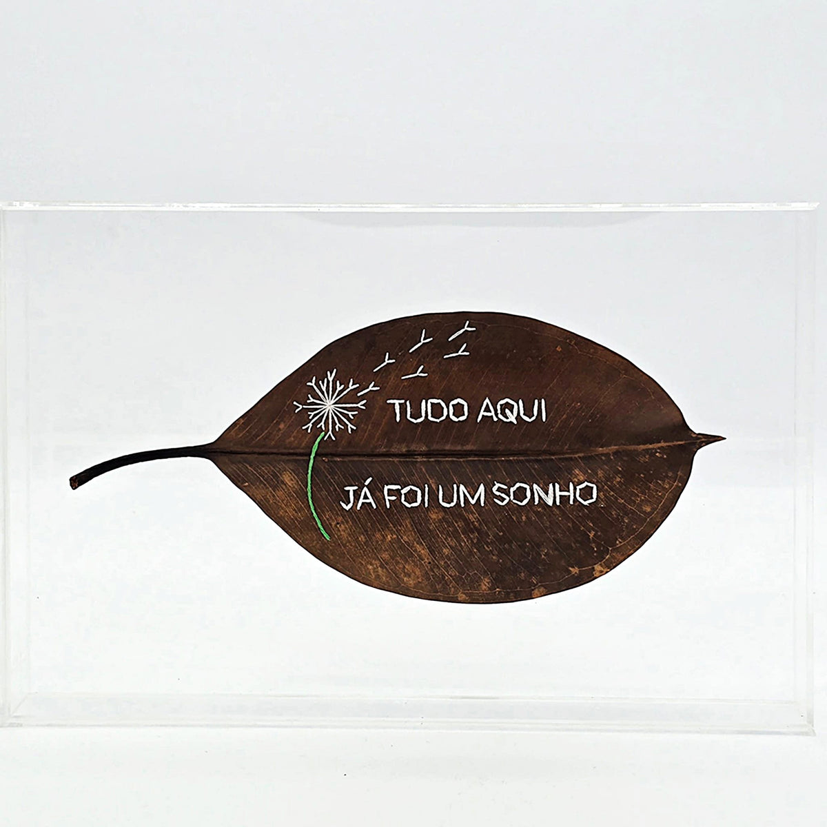 F.S. TUDO AQUI JÁ FOI UM SONHO - 15 X 20 ACRILICA