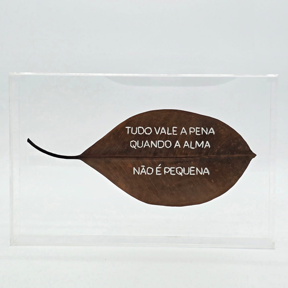 F.S.TUDO VALE A PENA QUANDO A ALMA NÃO PEQUENA 15 X 20