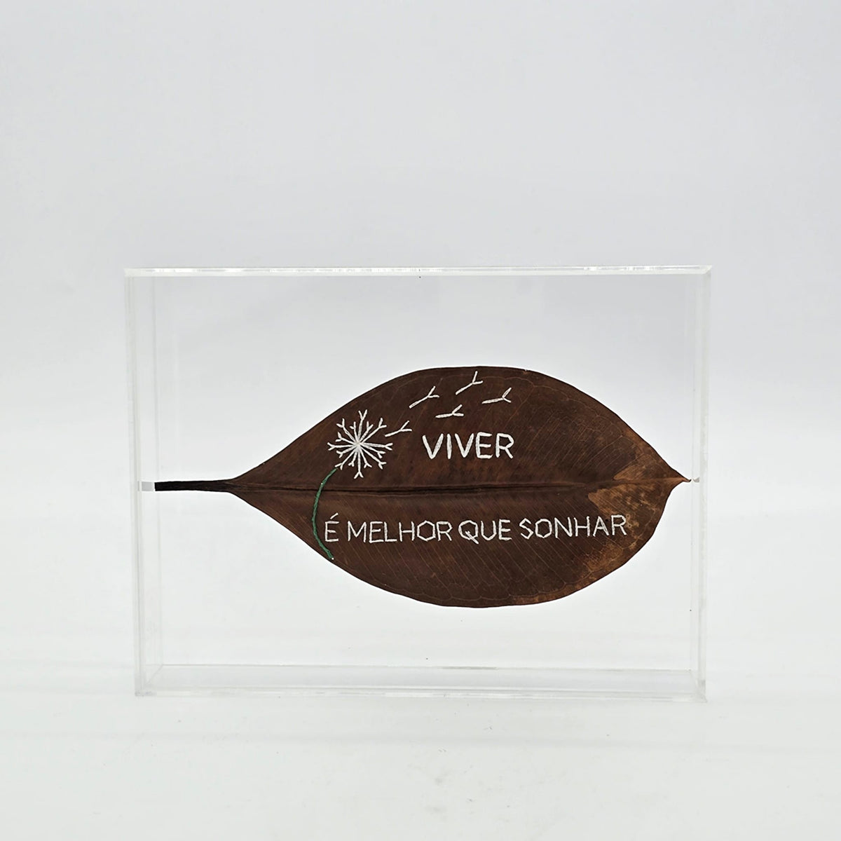 F.S. - VIVER É MELHOR QUE SONHAR - 15 X 20 ACRILICA