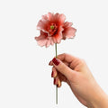 FLOR CER ITALIANA PAPOULA OR CAPODINEMENTE ROSA 6X 7 CM