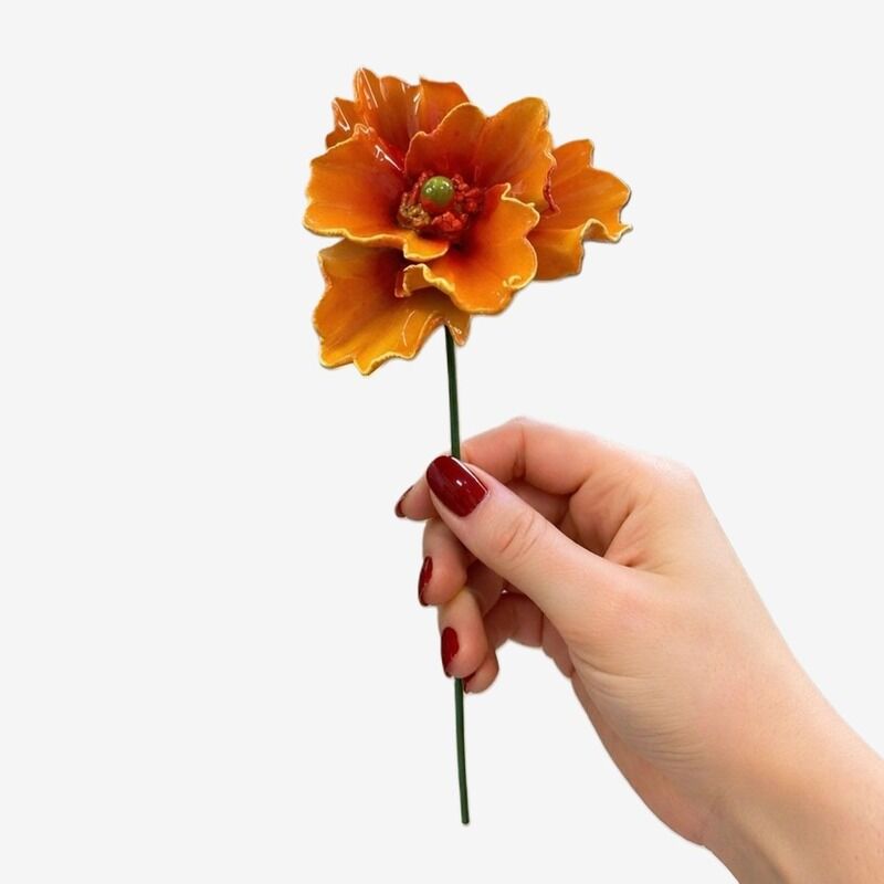 FLOR CER ITALIANA PAPOULA OR CAPODINEMENTE  ARANCIONE 6X 7 CM