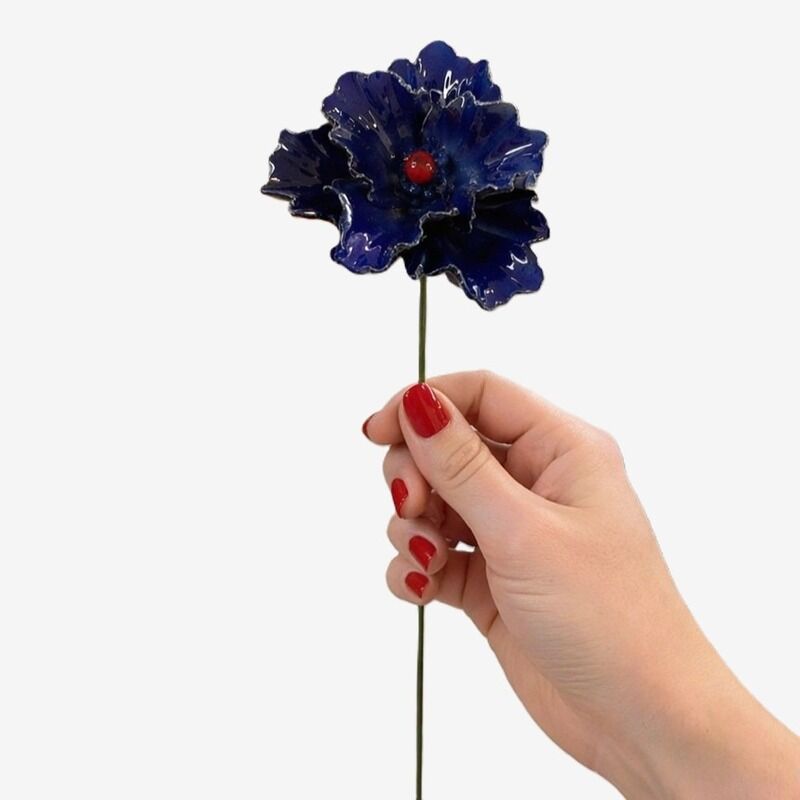 FLOR CER ITALIANA PAPOULA OR CAPODINEMENTE  LUCE 6-7DM
