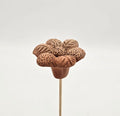FLOR DE BARRO MOD M