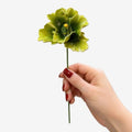 FLOR CER ITALIANA PAPOULA OR CAPODINEMENTE  LUCE 6-7DM