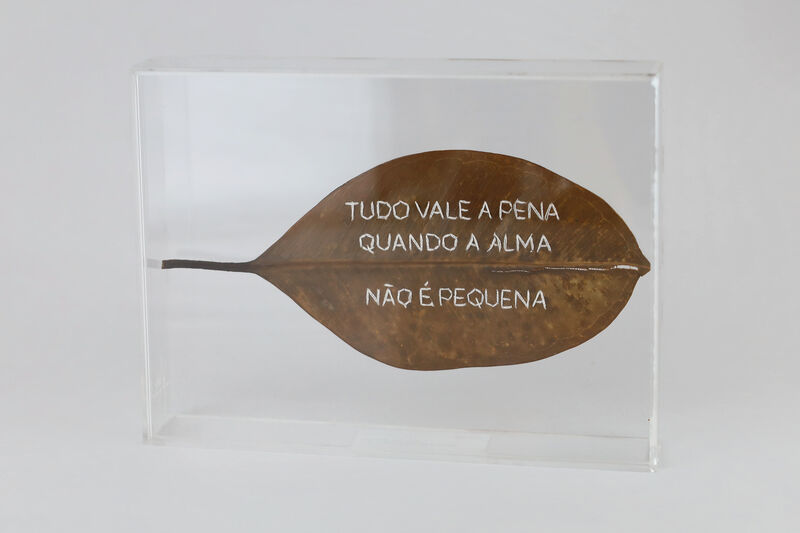 F.S. TUDO VALE A PENA QUANDO A ALMA NÃO PEQUENA 20 X 30